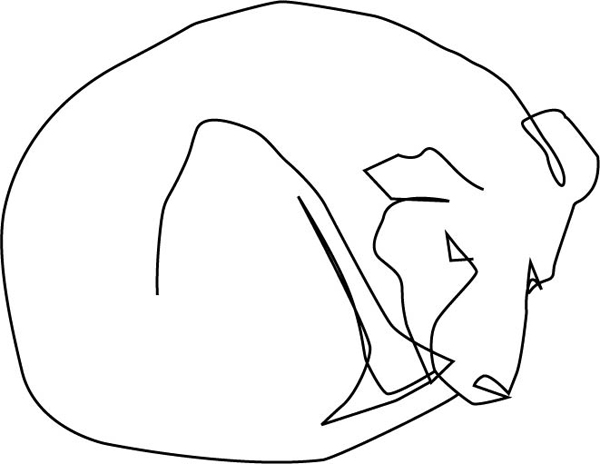 dog drawing for wire wall art
